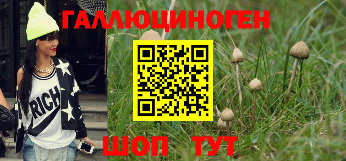Ноябрьск  Галлюциногенные грибы Cubensis  Вход с VPN 