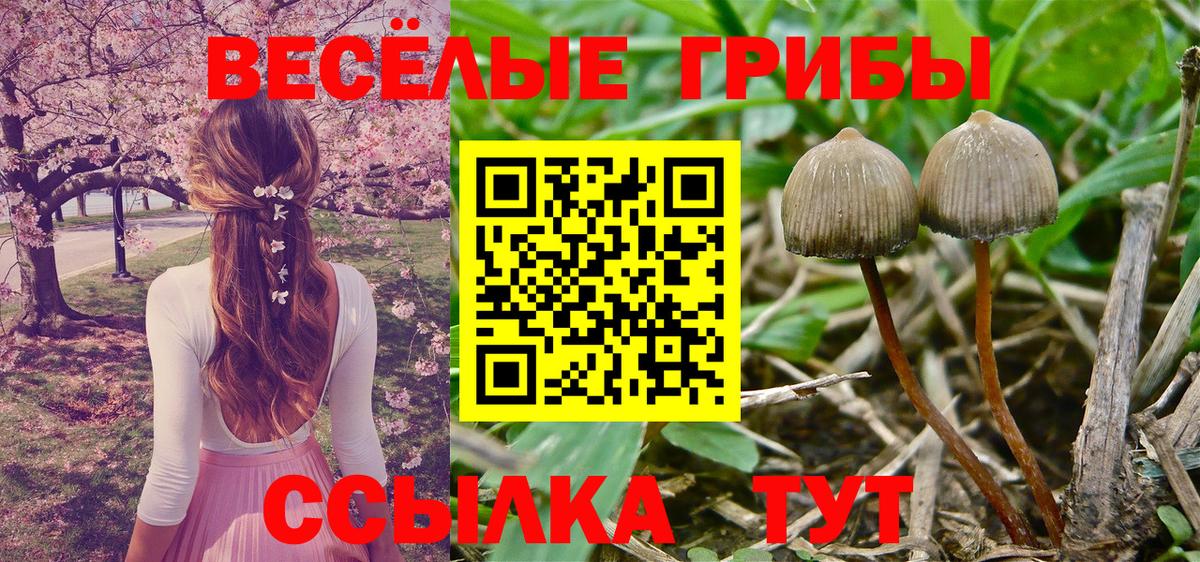 Галлюциногенные грибы GOLDEN TEACHER Ноябрьск